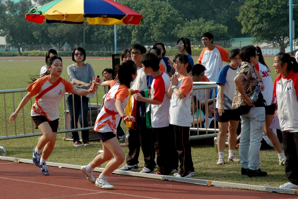 SBS_ (1135)